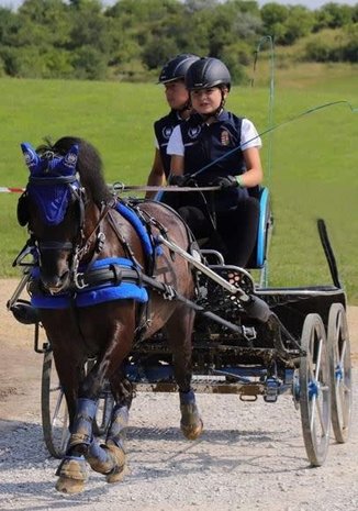 Ideal Equestrian EuroTech Combi Enkelspan tuig