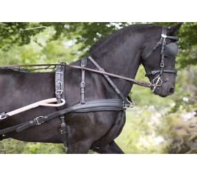 Ideal Equestrian EuroTech Combination Harness Single