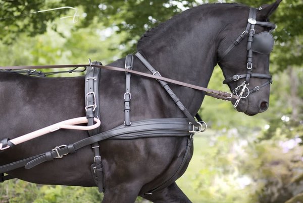 Ideal Equestrian EuroTech Combi Enkelspan tuig