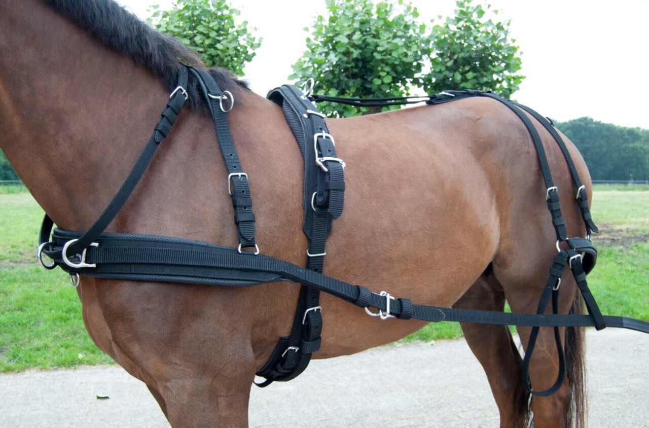 Ideal Equestrian Harnais WebTech Combi Simple