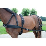 Ideal Equestrian WebTech Combi Enkelspan tuig Ideal Equestrian WebTech Combi Enkelspan tuig