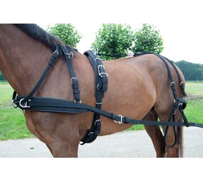 Ideal Equestrian WebTech Combination Harness Single