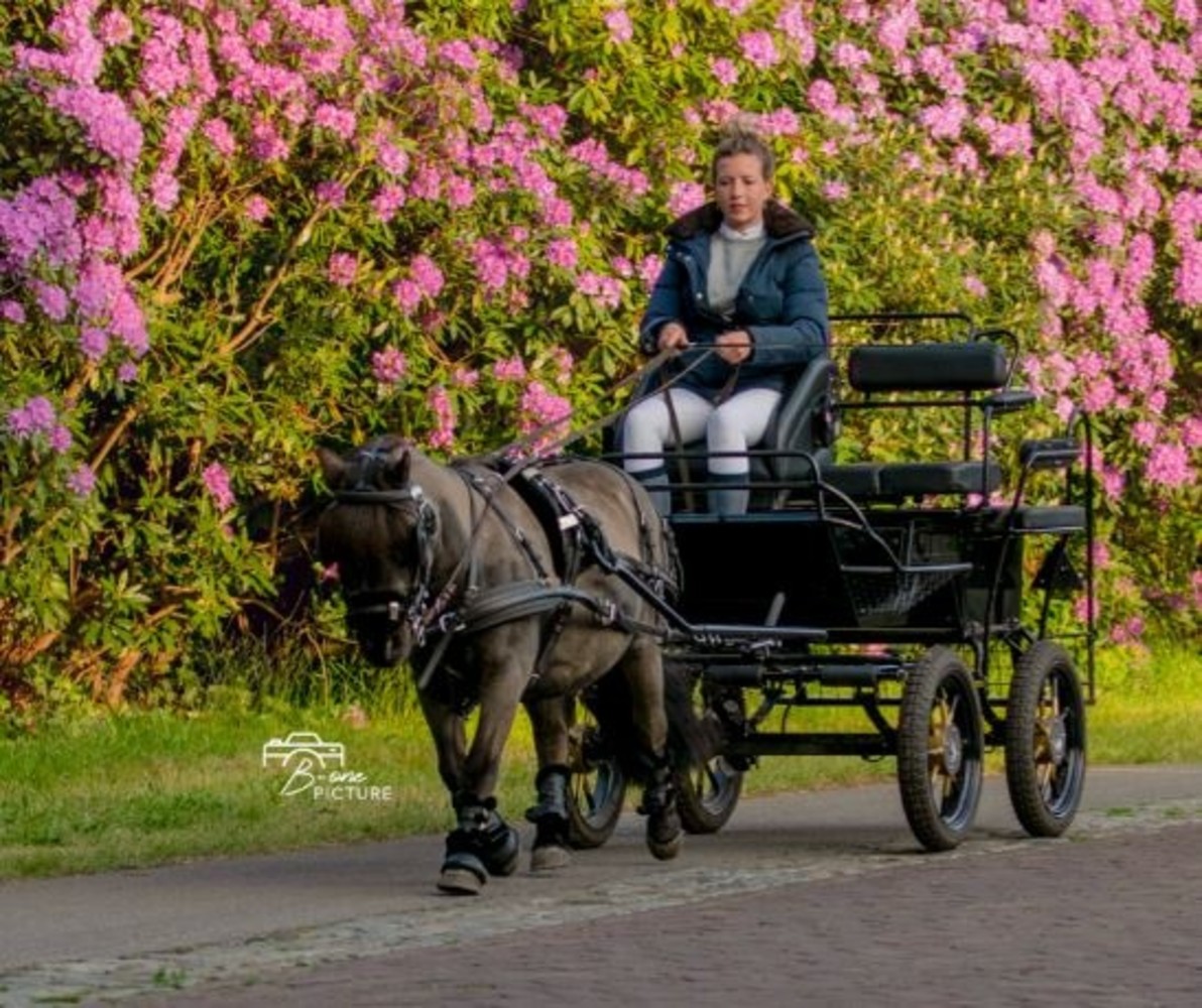 Ideal Equestrian EuroTech Combi Enkelspan tuig