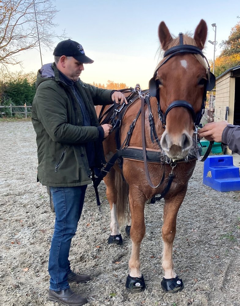Ideal Equestrian EuroTech Combination Harness Single
