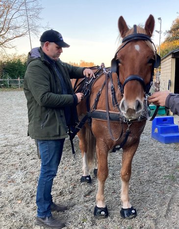 Ideal Equestrian EuroTech Combination Harness Single