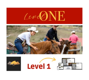 Parelli Parelli Partnership Program Online Course Level One Parelli Parelli Partnership Program Online Course Level One