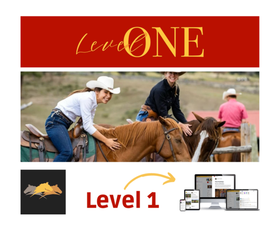 Parelli Parelli Program Online Course Level One