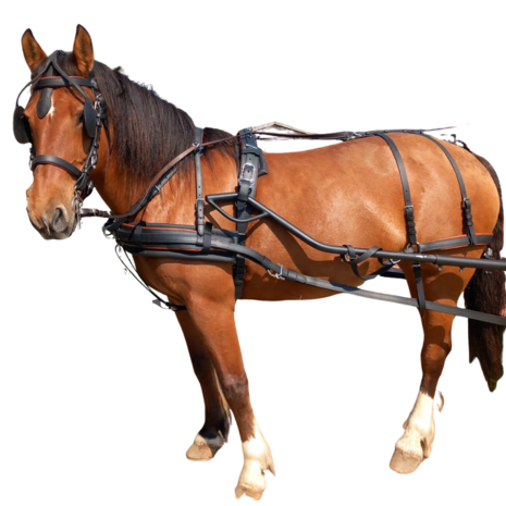 Ideal Equestrian LeatherTech Combi Enkelspan tuig