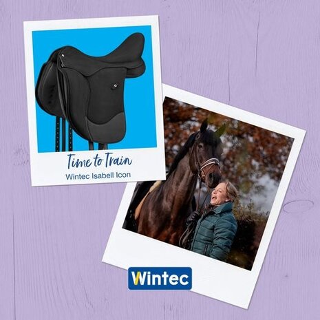 Wintec Dressage Saddle Wintec Isabell Icon HART Black Wintec Dressage Saddle Wintec Isabell Icon HART Black