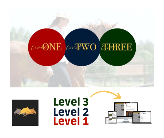 Parelli Parelli Program Online Course Level One, Two and Three Parelli Parelli Program Online Course Level One, Two and Three