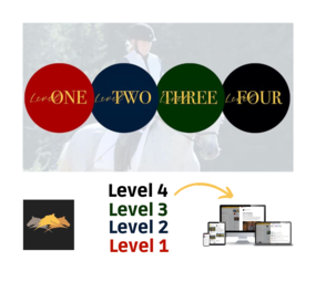 Parelli Parelli Partnership Program Online Course Level One, Two, Three and Four Parelli Parelli Partnership Program Online Course Level One, Two, Three and Four