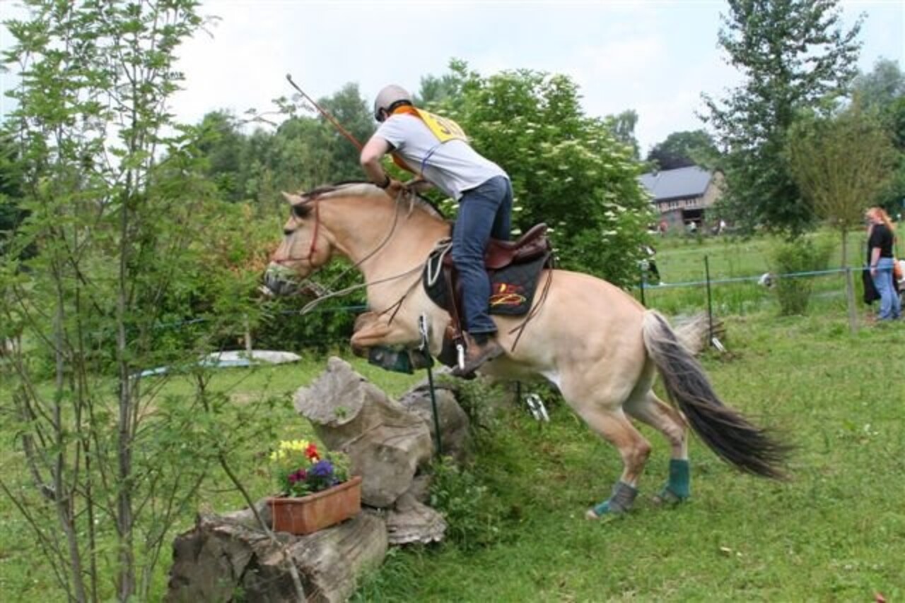 Bates Zadel Bates Kimberley Stock Swinging Fenders Heritage leder bruin