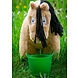 Crafty Ponies Crafty Ponies emmer / voerbakje Crafty Ponies Crafty Ponies emmer / voerbakje