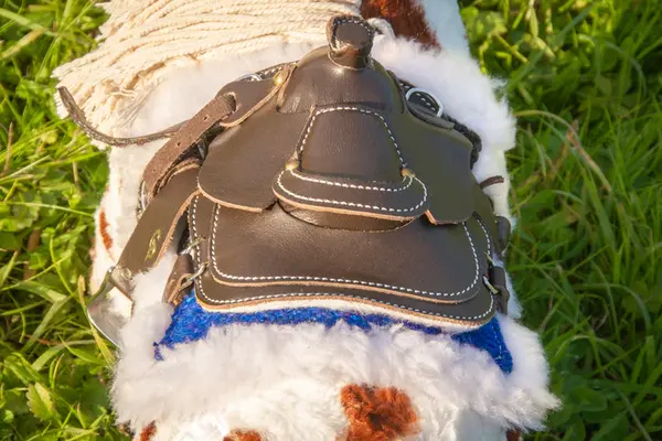 Crafty Ponies Crafty Ponies Westernpad blue incl. instruction booklet NL Crafty Ponies Crafty Ponies Westernpad blue incl. instruction booklet NL