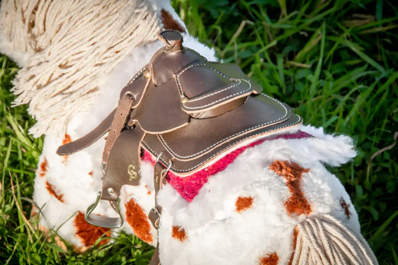 Crafty Ponies Crafty Ponies Padd Western Rose y.c. livret d'instructions NL Crafty Ponies Crafty Ponies Padd Western Rose y.c. livret d'instructions NL