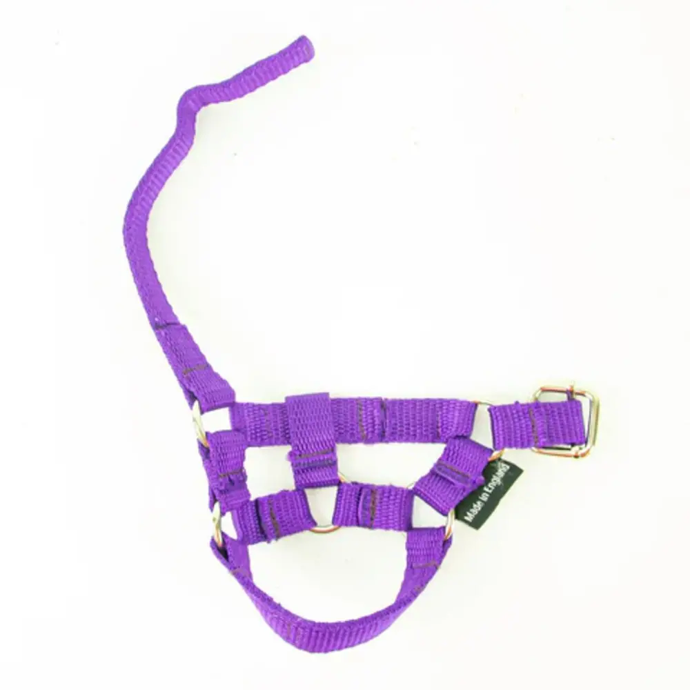 Crafty Ponies Crafty Pony Headcollars purple incl. instruction booklet NL Crafty Ponies Crafty Pony Headcollars purple incl. instruction booklet NL