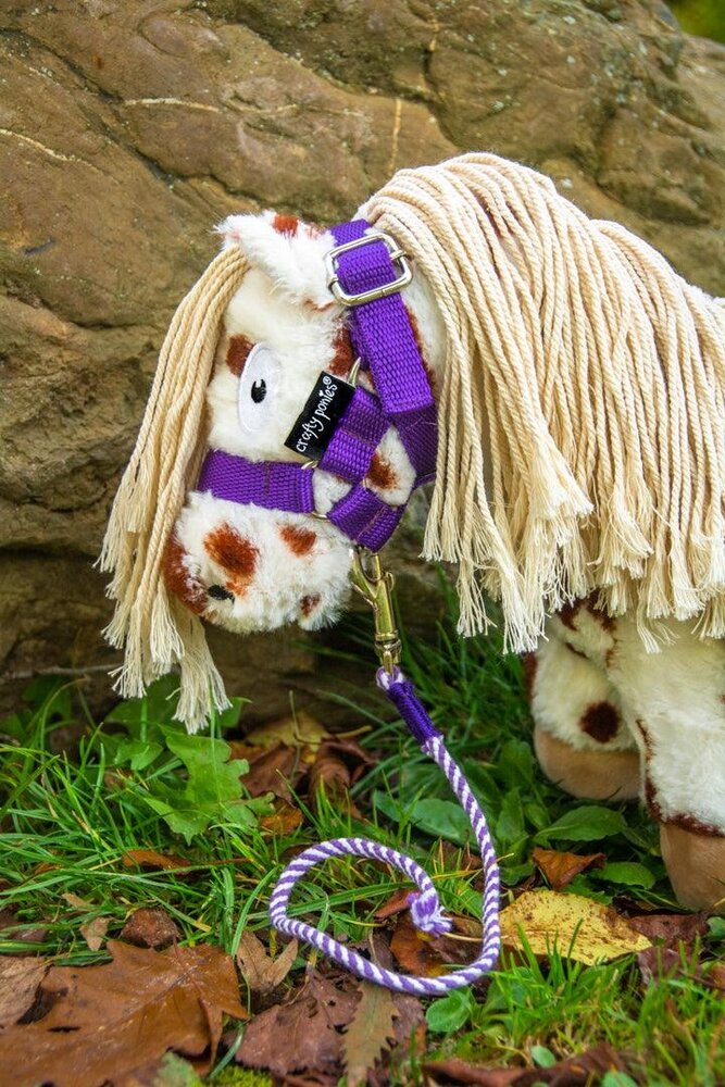 Crafty Ponies Crafty Pony Lead rope purple incl. instruction booklet NL Crafty Ponies Crafty Pony Lead rope purple incl. instruction booklet NL