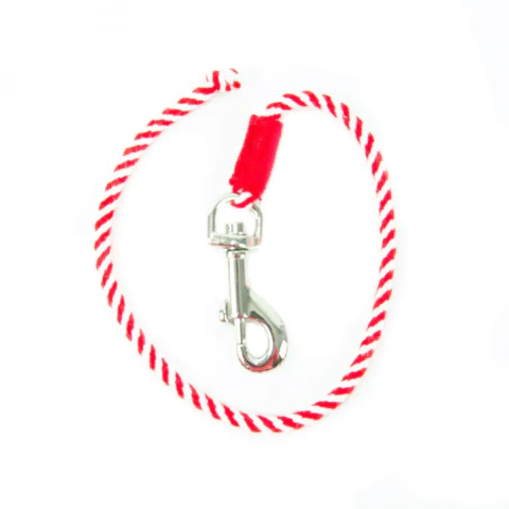 Crafty Ponies Crafty Pony Lead rope red incl. instruction booklet NL Crafty Ponies Crafty Pony Lead rope red incl. instruction booklet NL