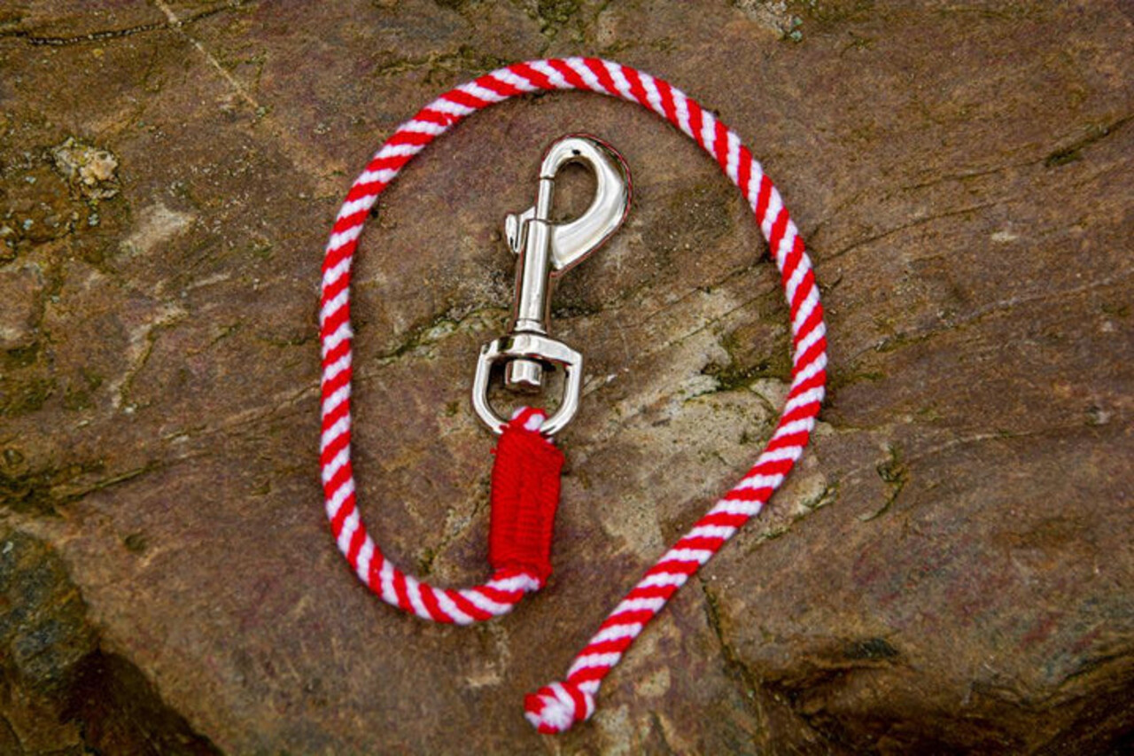Crafty Ponies Crafty Pony Lead rope red incl. instruction booklet NL Crafty Ponies Crafty Pony Lead rope red incl. instruction booklet NL
