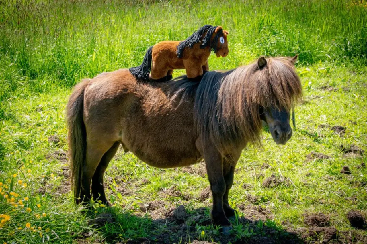 Crafty Ponies Crafty Pony Paardenknuffel Bruin zwarte manen incl. instructie boekje Crafty Ponies Crafty Pony Paardenknuffel Bruin zwarte manen incl. instructie boekje