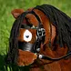 Crafty Ponies Crafty Pony Speelgoedhoofdstel incl. instructieboekje Crafty Ponies Crafty Pony Speelgoedhoofdstel incl. instructieboekje