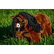 Crafty Ponies Crafty Pony Speelgoedhoofdstel incl. instructieboekje Crafty Ponies Crafty Pony Speelgoedhoofdstel incl. instructieboekje