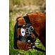 Crafty Ponies Crafty Pony Speelgoedhoofdstel incl. instructieboekje Crafty Ponies Crafty Pony Speelgoedhoofdstel incl. instructieboekje