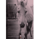 Horse and Hunk kalender 2024 Horse and Hunk kalender 2024