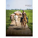 Horse and Hunk kalender 2024 Horse and Hunk kalender 2024