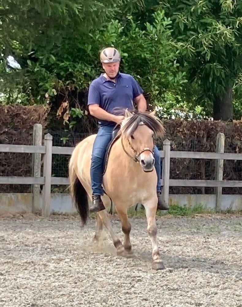 F.R.A. Esprit Western Hackamore Hoofdstel Natuur - met teugels