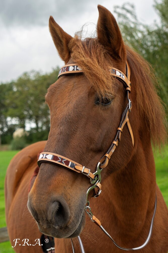 F.R.A. Esprit Western Hackamore Hoofdstel Natuur - met teugels