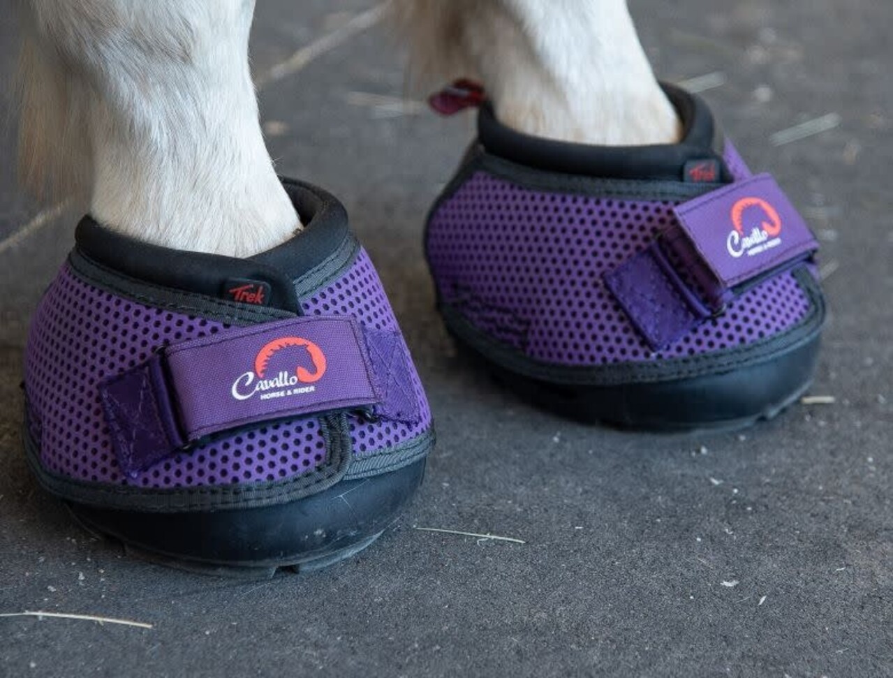 Cavallo Hoefschoenen Trek Paars Cavallo Hoefschoenen Trek Paars