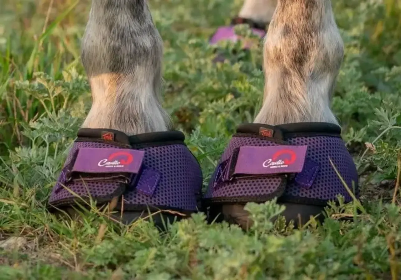 Cavallo Hoof Boots Cavallo Trek Purple