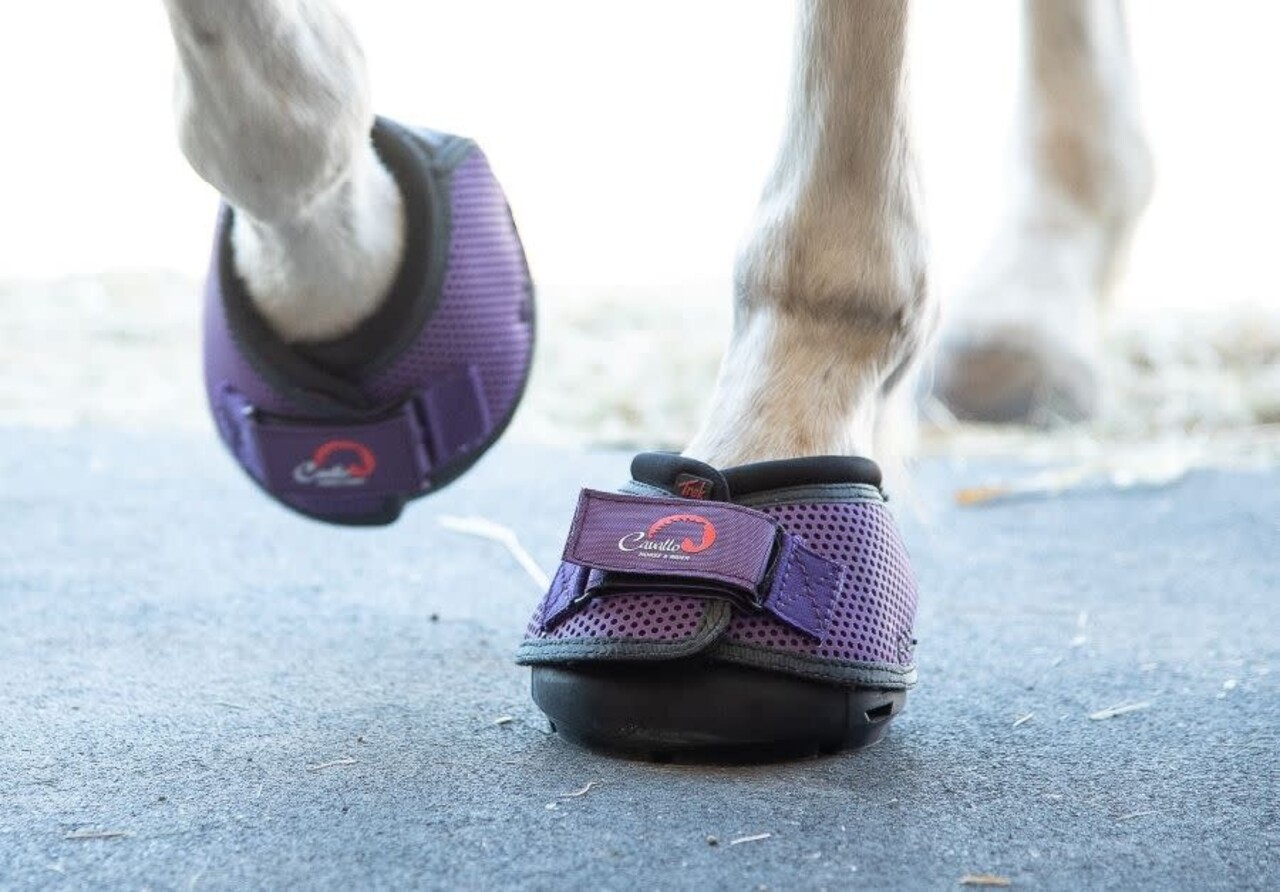 Cavallo Hoefschoenen Trek Paars Cavallo Hoefschoenen Trek Paars