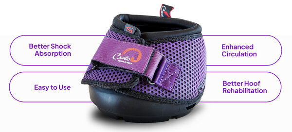 Cavallo Hoefschoenen Trek Paars Cavallo Hoefschoenen Trek Paars