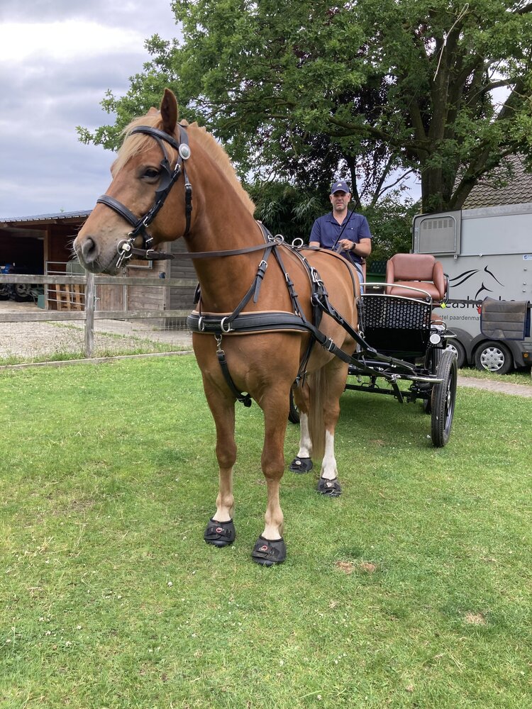 Cavallo Hoefschoenen Trek Zwart Cavallo Hoefschoenen Trek Zwart