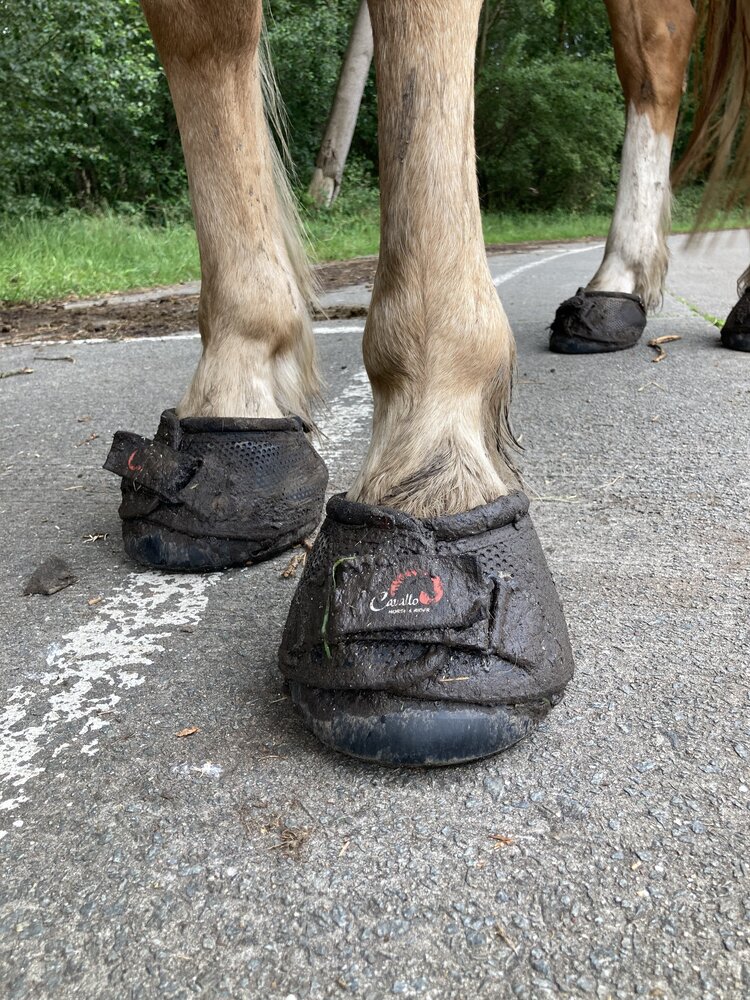 Cavallo Hoefschoenen Trek Zwart Cavallo Hoefschoenen Trek Zwart