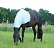 Halsdeken met rits lichtblauw L 155/165cm Halsdeken met rits lichtblauw L 155/165cm