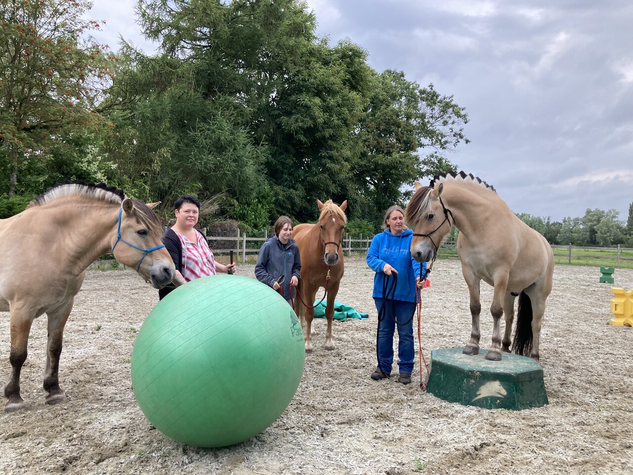 Parelli Mini course Learn the 7 games in 3 lessons by Parelli 3* instructor Kim Moeyersoms Parelli Mini course Learn the 7 games in 3 lessons by Parelli 3* instructor Kim Moeyersoms