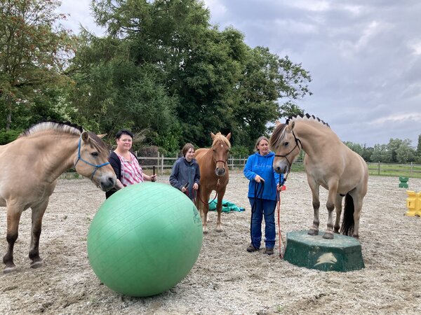 Parelli Mini course Learn the 7 games in 3 lessons by Parelli 3* instructor Kim Moeyersoms Parelli Mini course Learn the 7 games in 3 lessons by Parelli 3* instructor Kim Moeyersoms