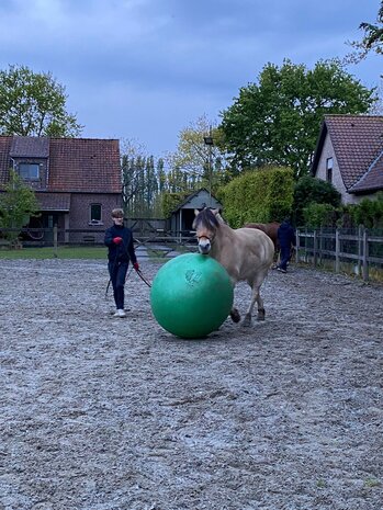 Parelli Parelli praktijk cursus 7 games in 3 lessen Parelli Parelli praktijk cursus 7 games in 3 lessen