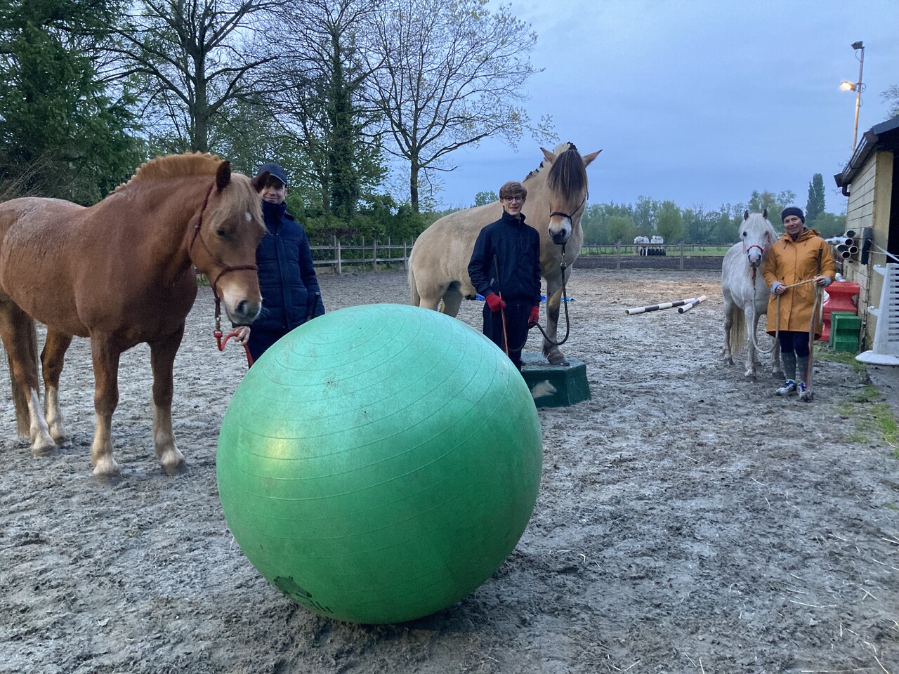 Parelli Parelli course Learn the 7 games in 3 lessons by Parelli 3* instructor Kim Moeyersoms