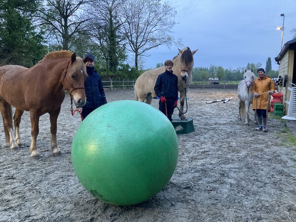Parelli Parelli course Learn the 7 games in 3 lessons by Parelli 3* instructor Kim Moeyersoms