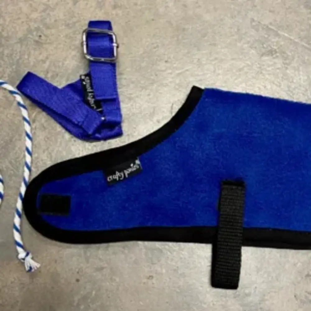 Crafty Ponies Crafty Ponies veulendekenset Crafty Ponies Crafty Ponies veulendekenset