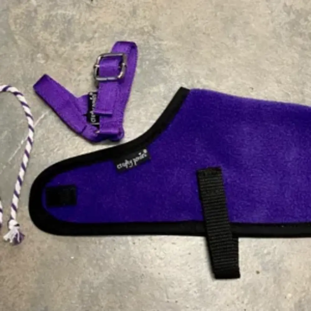 Crafty Ponies Crafty Ponies veulendekenset Crafty Ponies Crafty Ponies veulendekenset