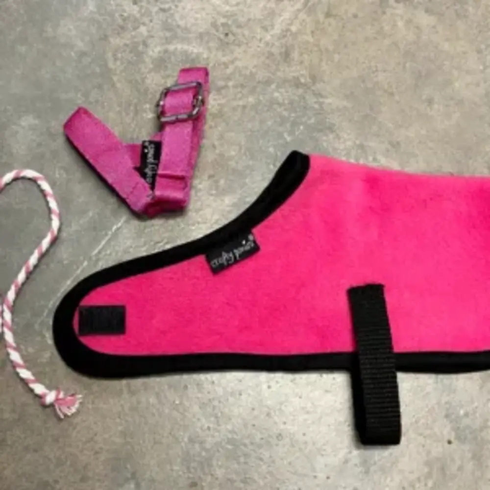 Crafty Ponies Crafty Ponies foal rug set