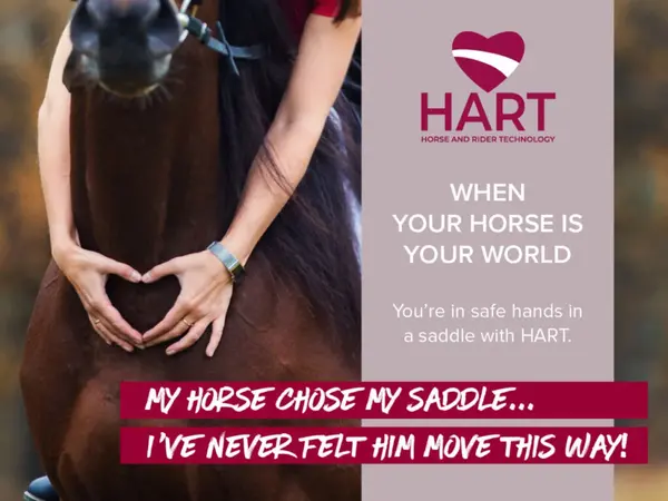 Wintec Saddle Wintec 500 Wide All Purpose HART Zwart Wintec Saddle Wintec 500 Wide All Purpose HART Zwart