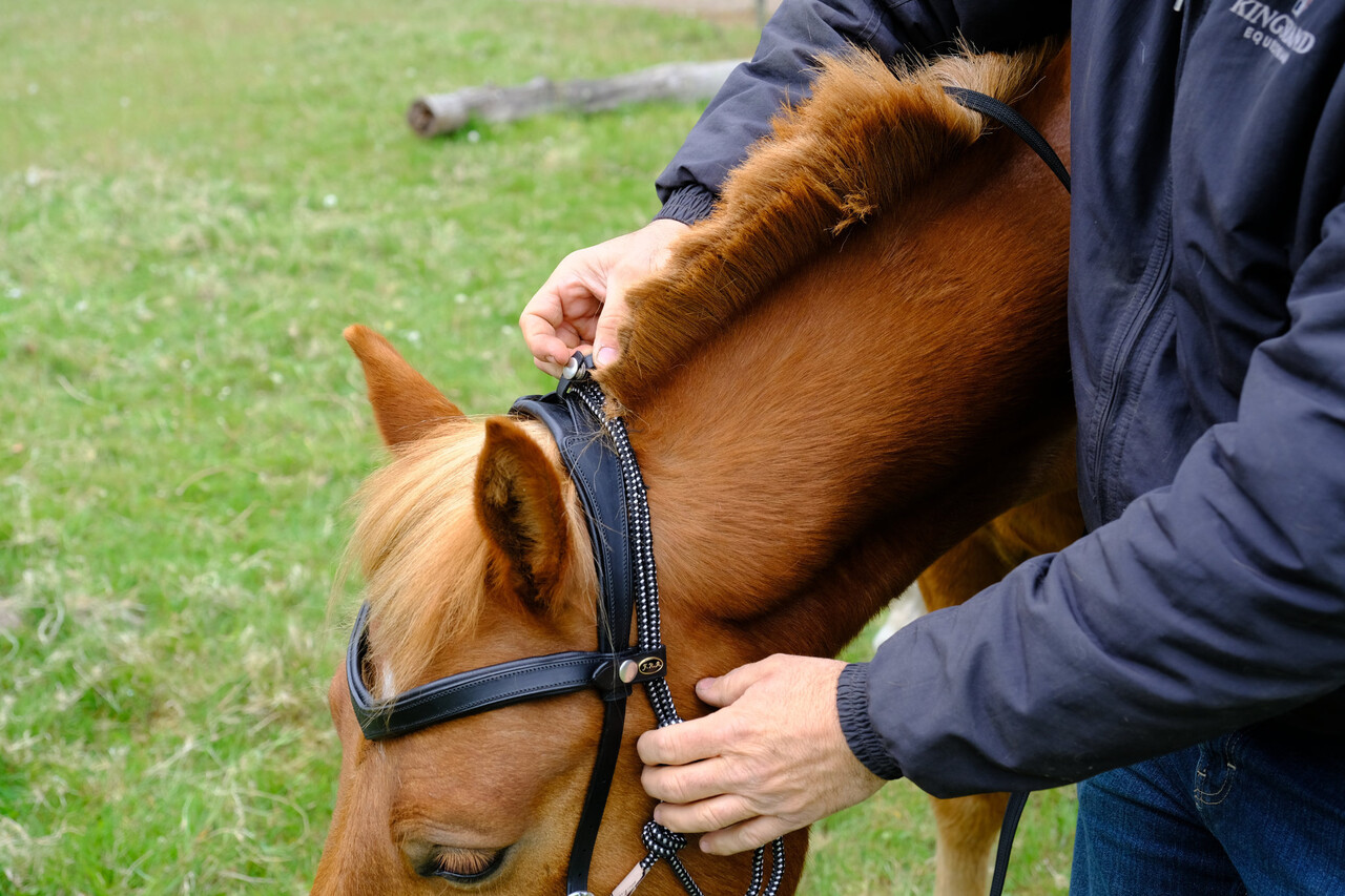 F.R.A. Wandelhoofdstel Campari Combi-hoofdstel