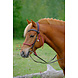 F.R.A. Wandelhoofdstel Campari Combi-hoofdstel F.R.A. Wandelhoofdstel Campari Combi-hoofdstel
