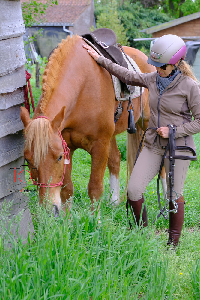 F.R.A. Wandelhoofdstel Campari Combi-hoofdstel